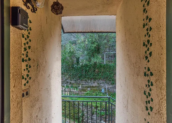 Gueshost - Bright In With View!