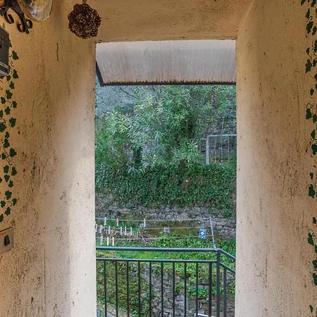 Gueshost - Bright In With View!